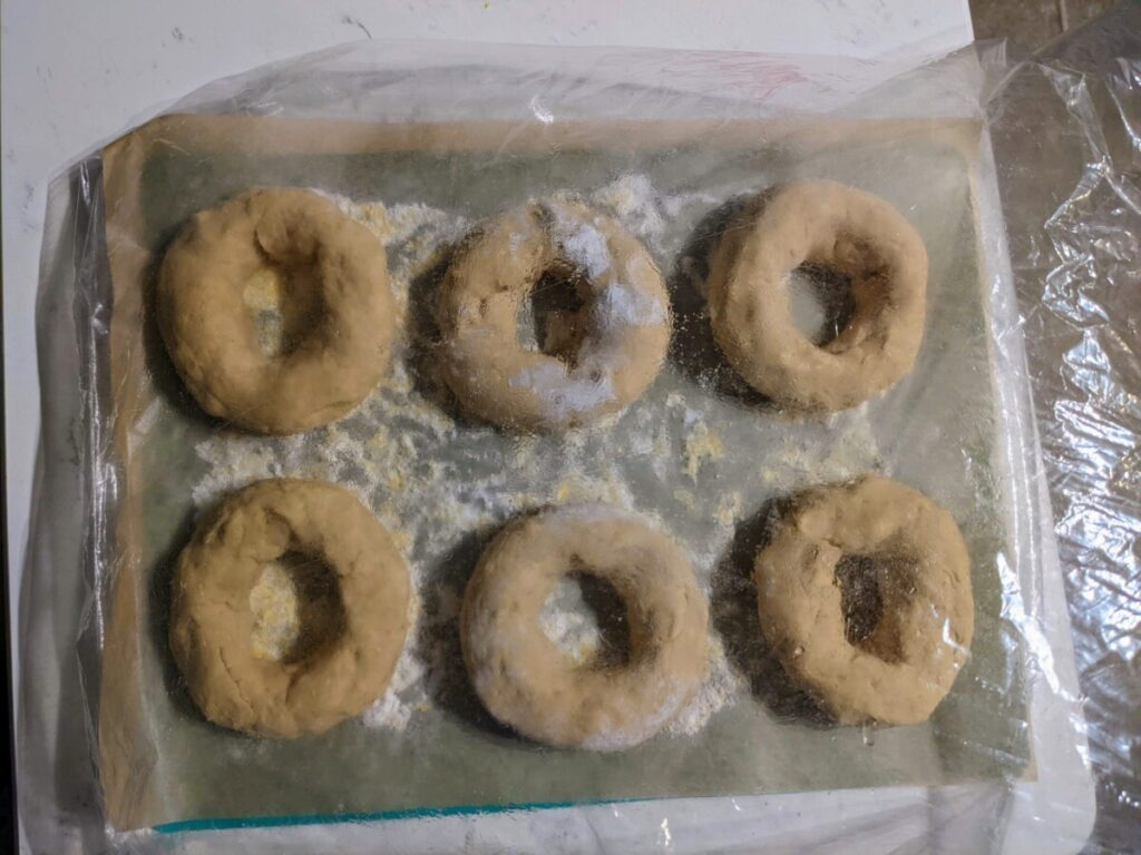 6 gluten-free bagels before boiling