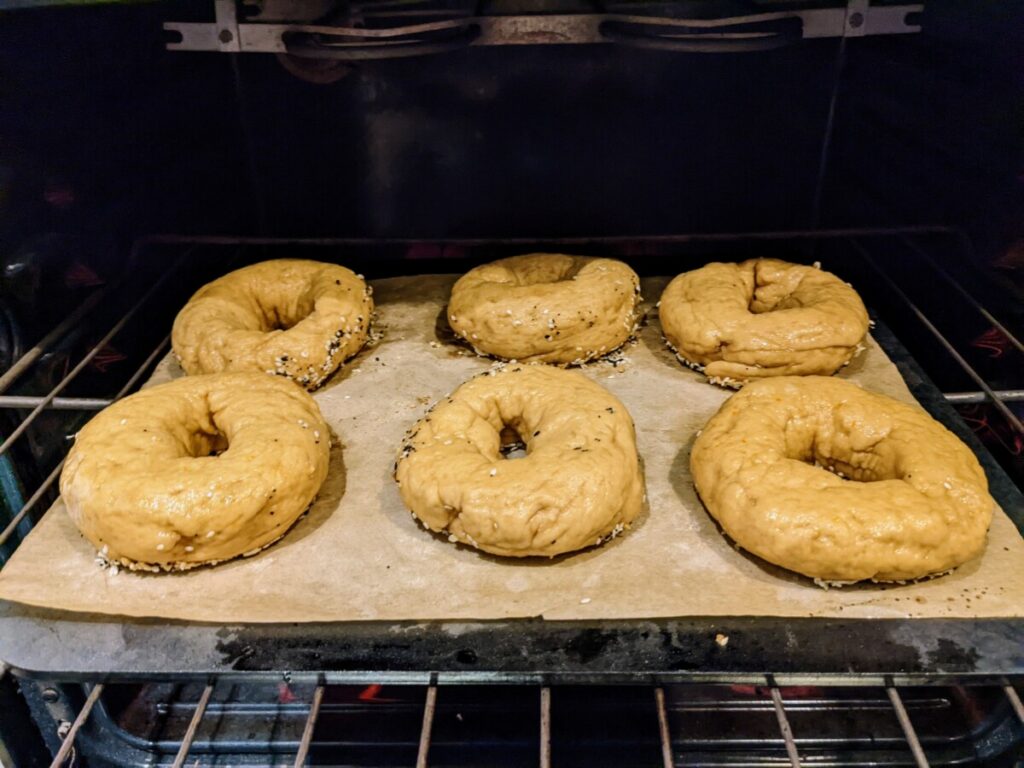 6 gluten-free bagels going into the oven
