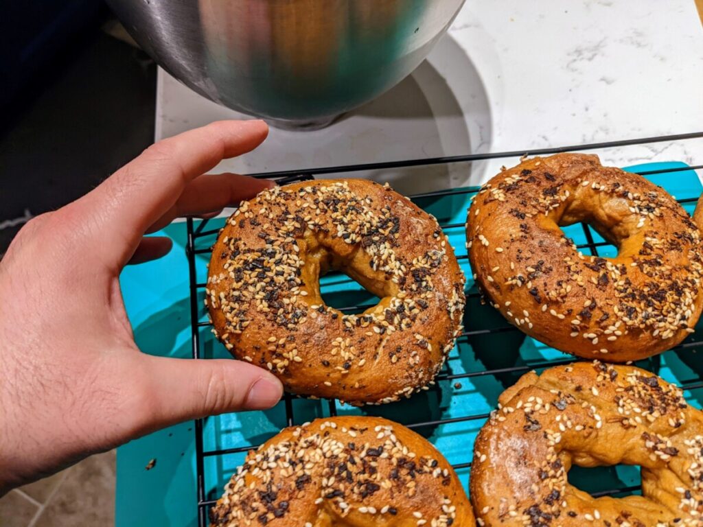 holding a gluten-free everything bagel to show scale