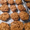 Allergy-friendly pumpkin chocolate chip oatmeal cookies