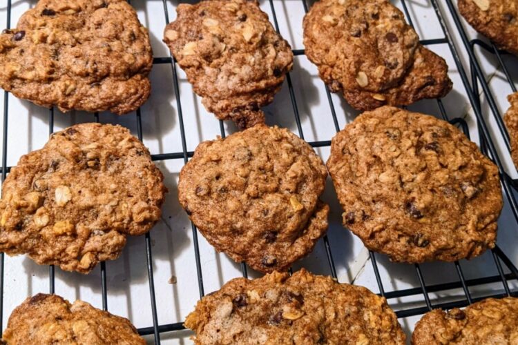 Allergy-friendly pumpkin chocolate chip oatmeal cookies